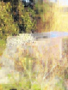 Riool stroom in Visrivier