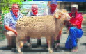 Klub hou ram- en produksieveiling