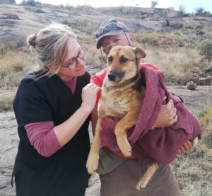 Cradock community band together to rescue dog trapped under 2-ton rock