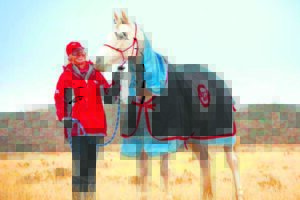 Ruiters laat die hoewe klap op Fauresmith