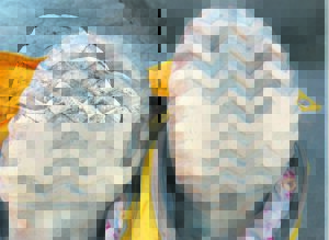 Fire brigade now on go-slow