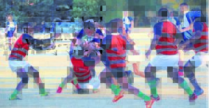 Grootfontein-rugby klop Jansenville