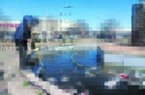 NPO takes initiative to keep Komani clean