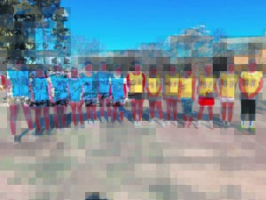 Komani hosts Emalahleni Netball Trials