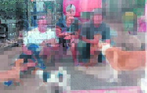 Diere word hier met liefde versorg