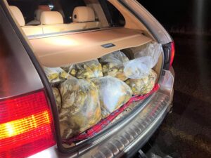 Suspects arrested with abalone worth over R3 million in Graaff-Reinet