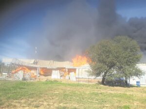 Sitruspakhuis in puin