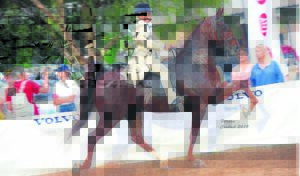 Wenner van Monty Gadd-trofee