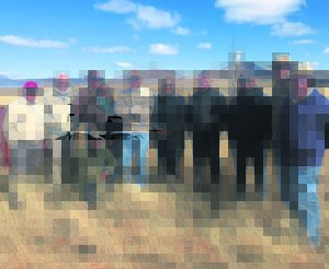 Karoo research on the ghosts of herbivores past