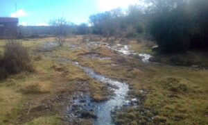 Sewage spills in Cradock cost farmers a great deal of money