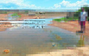 Riool: Gesondheidsgevaar vir Midros-inwoners