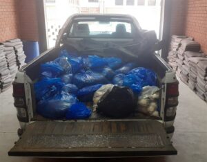 Abalone worth R2 million seized in Cradock