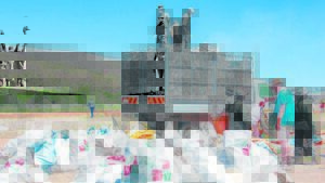 Community collects 36 625 dead fish from dry Nqweba Dam