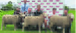 BKB-veiling is ’n groot sukses