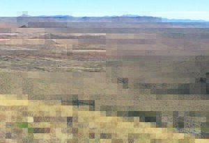 Reën gee landskap nuwe lewe