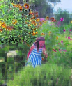 Groente is goud vir gesondheid