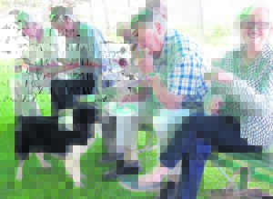 Ram sale, a red letter day for Bedford District