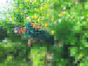 Eerste Slow Living-fees hou groot belofte in