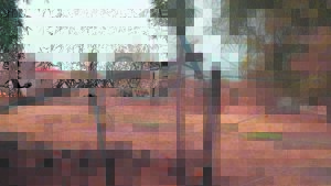 Los kragkabels lewensgevaarlik