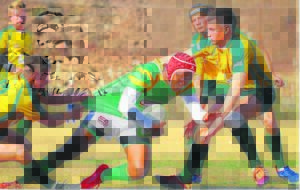 Middies rugby, netbal meet kragte op Burgersdorp