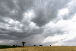 Weather Service issues weather alerts for disruptive rain in large parts of Eastern Cape