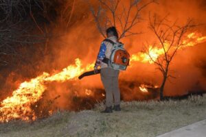 Raging veld fire at Komani game reserve extinguished overnight
