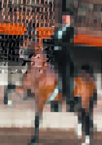 Ruiters skitter tydens proewe