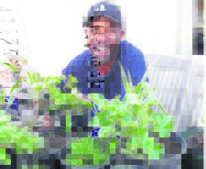 Festival encourages micro nursery businesses