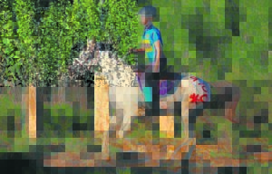 Lormar ride challenges seasoned participants