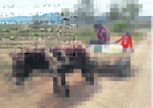 Droogte wurg plattelanders