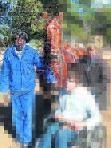 Perdryterapie vorder fluks