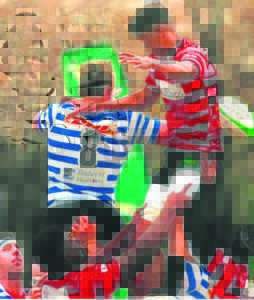 Koeberg called by WP rugby