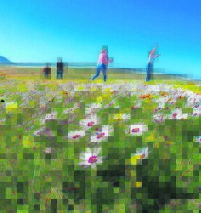 Skouspel van blomme groet die lente