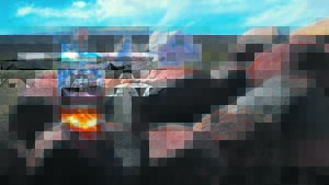 Karoobossies is goud werd