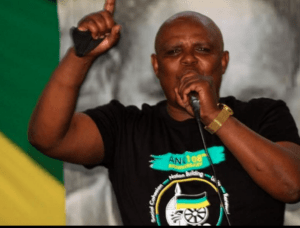 Chief whip of Chris Hani DM resigns