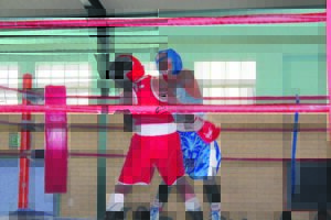 Boxing action back at QBBC tournament