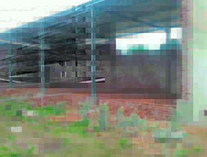 Rondloperdiere steeds ’n kopseer vir Somerset-Oos inwoners