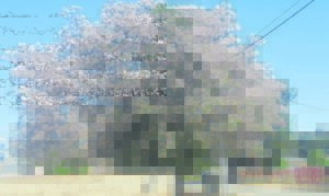 Middelburg se geheim