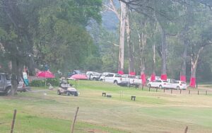 Gholfdag vir Pienk Bome