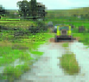 Molteno-kerk se viertrek-avontuur geniet goeie aftrek