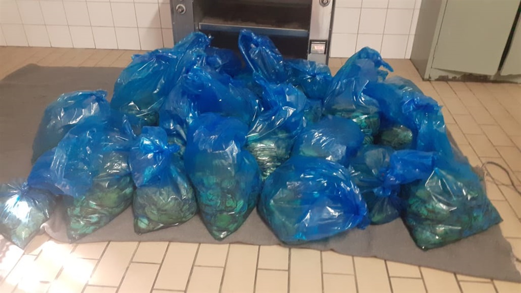 A total of 26 bags of abalone were confiscated.