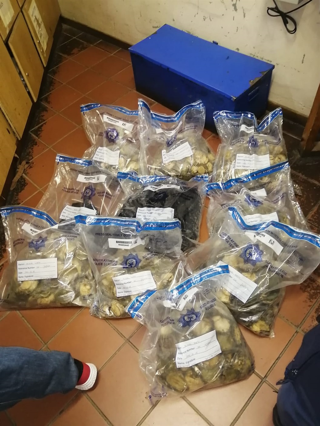 Polisie het beslag gelê op perlemoen ter waarde va