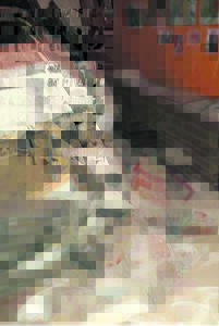 Huis word oornag ‘parkeerplek’