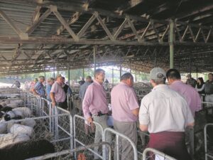 Oud-skoliere hou veeveiling