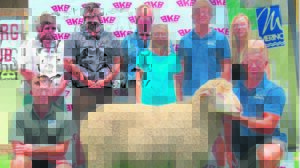 Veiling verloop goed ten spyte van droogte