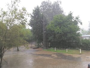 Reën in die Karoo wyd verwelkom