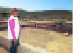 Lingcom Primary sees little of reconstruction