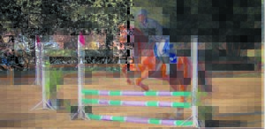 Gareth kwalifiseer vir wêreldkampioenskap