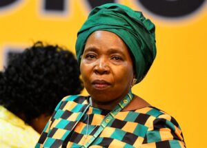 Komani shutdown: Dlamini Zuma’s visit ‘waste of time’