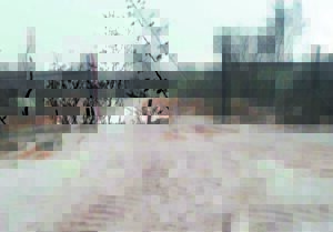 Karoo-dorpe bedek met sneeu